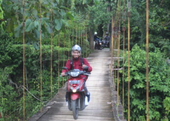 Perjalanan Relawan ke Dusun Mollo: Menembus Jalan Setapak dan Rintangan Alam