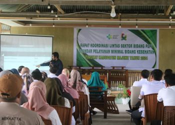 Sinergi Lintas Sektor, Kunci Sukses SPM Kesehatan